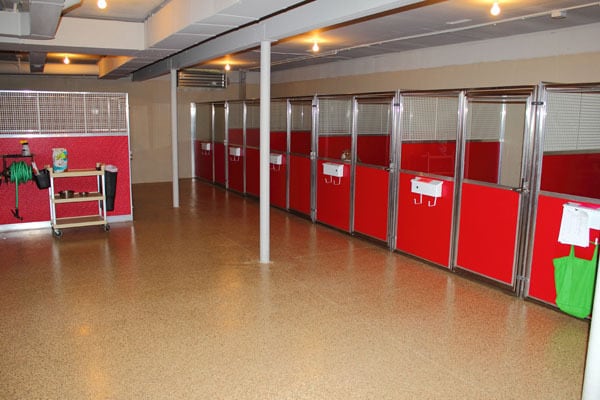 kennels for dogs. very large and comfortable, doors are colored red