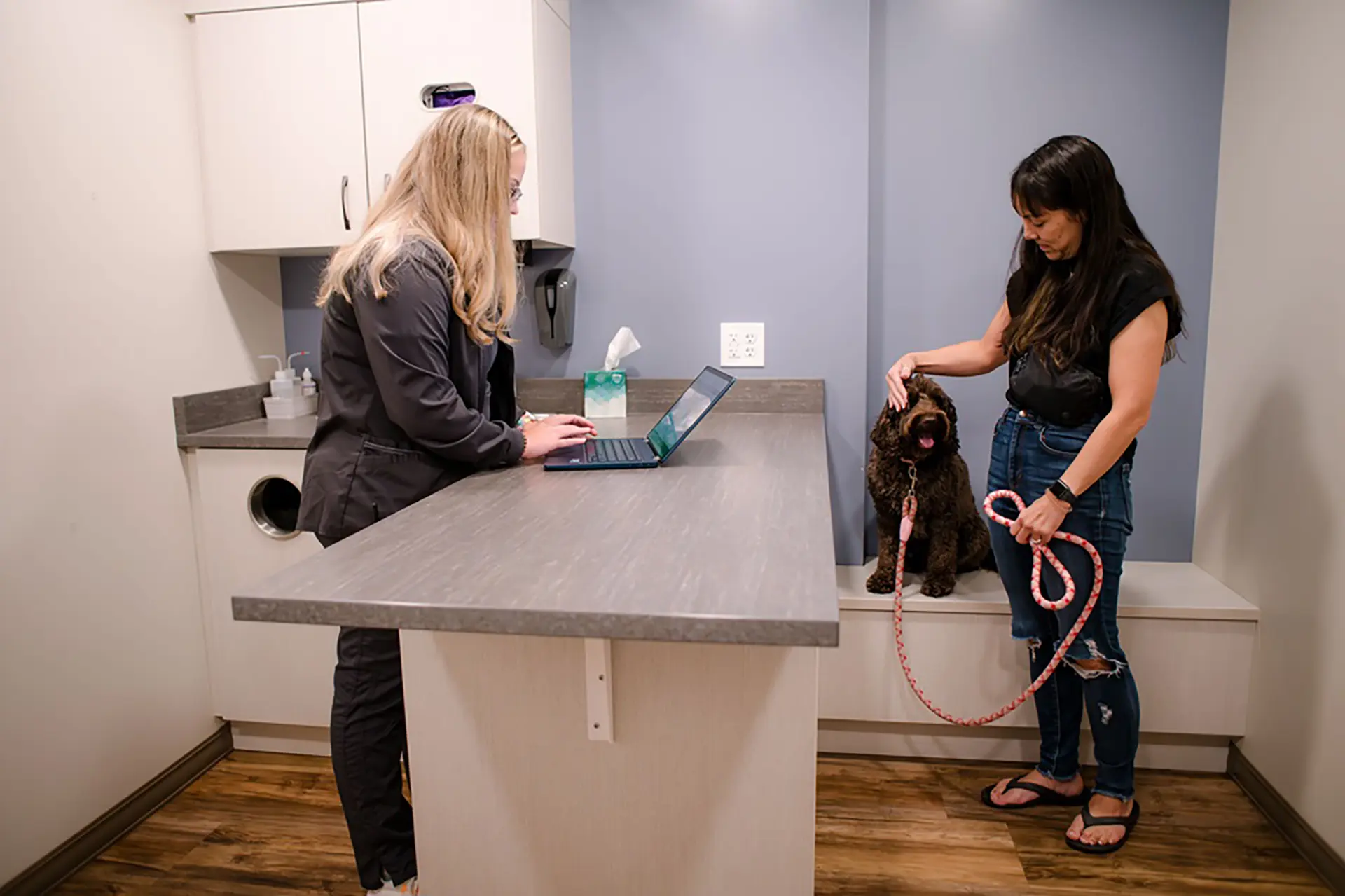 Receptionist helping a client