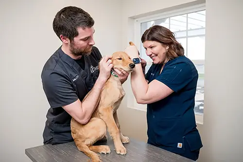 Allergies & Dermatology