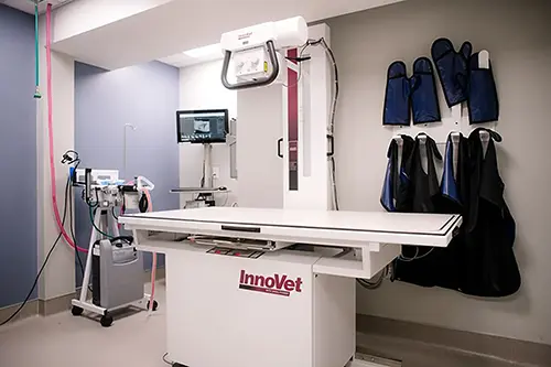 Diagnostics
