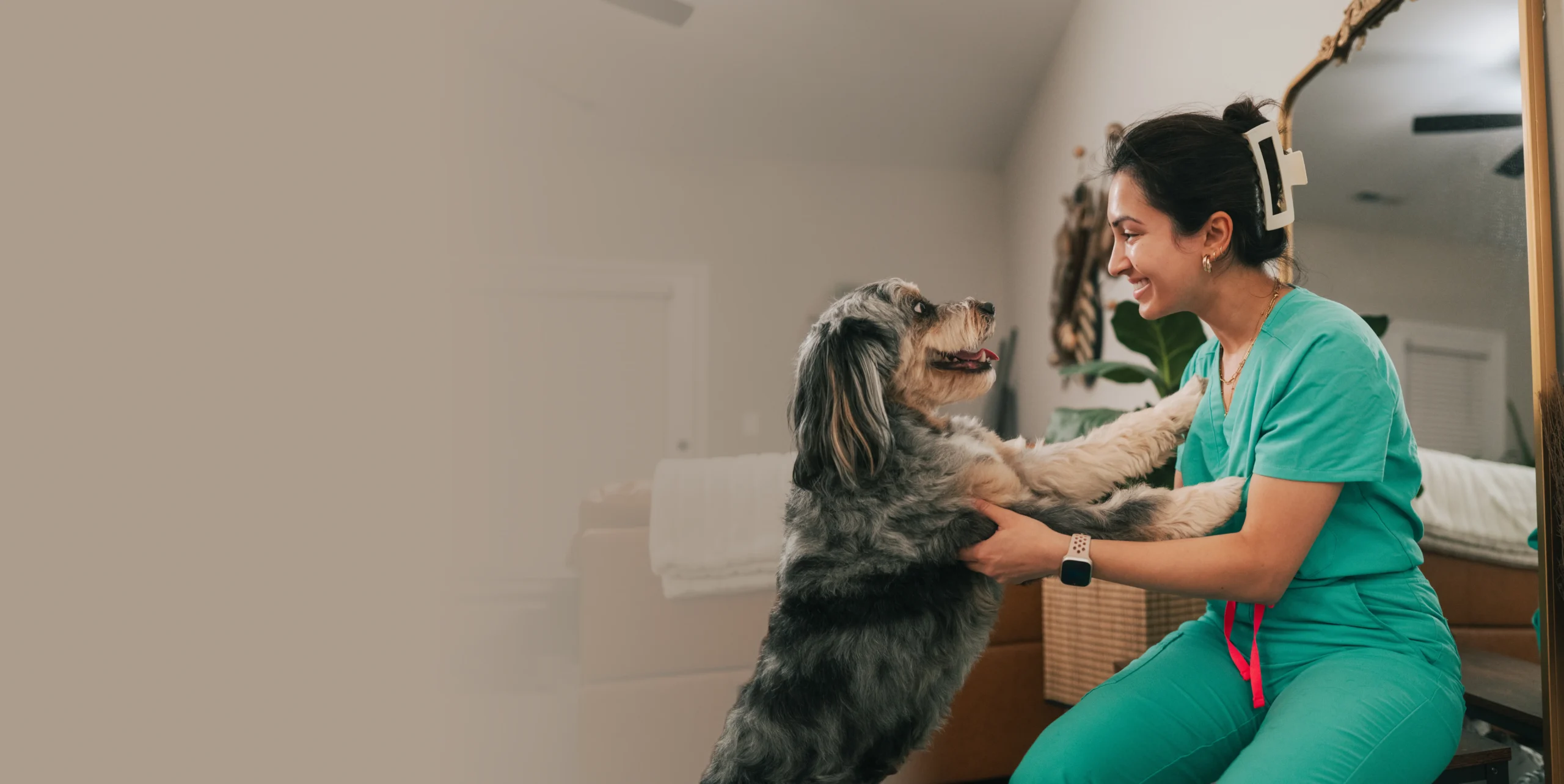 Vet Clinic in Champaign County, IL & Mahomet, IL | All About Animals ...